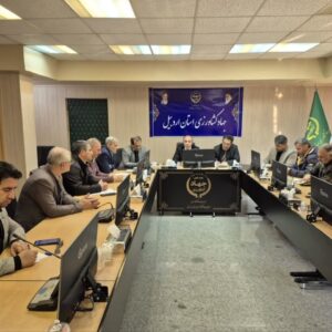 احدی عالی:شاهد تثبیت قیمت و کمیت کالا خواهیم بود