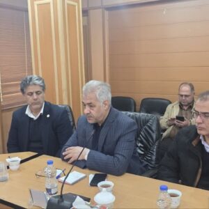 صفری: حذف ارز ترجیحی نهاده‌های دامی، گامی ضروری برای پایداری تولید است