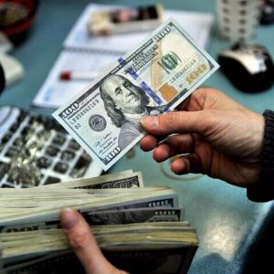 گودرزی: نظارت‌ها کلید آرامش بازار است