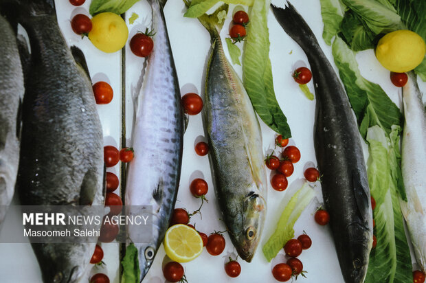 نمایشگاه تخصصی صنایع دریایی بندرعباس