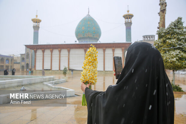 بارش برف شیراز