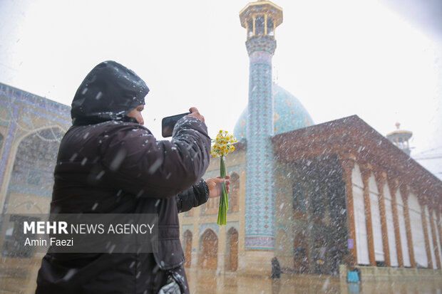 بارش برف شیراز