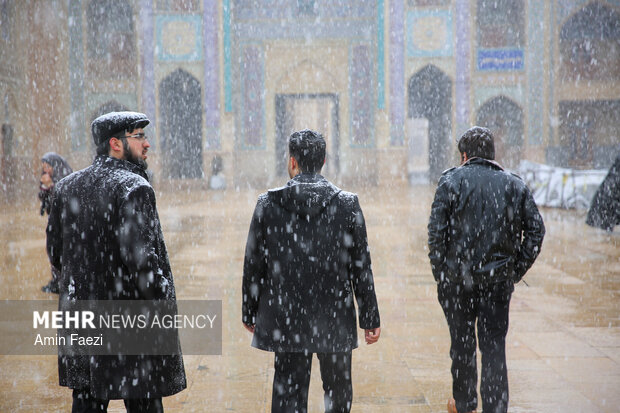 بارش برف شیراز