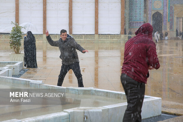 بارش برف شیراز