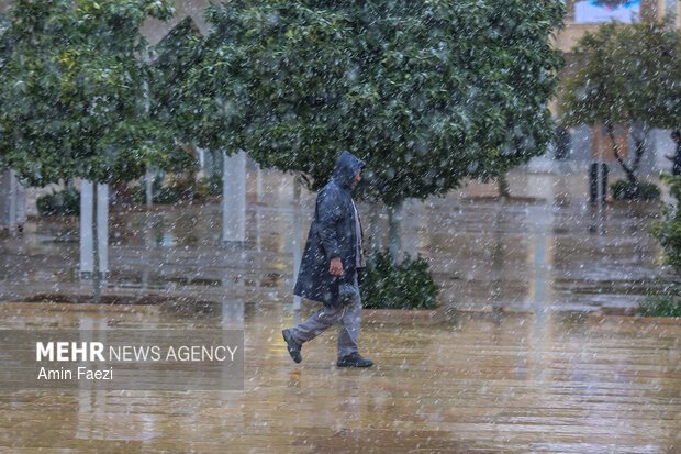 بارش برف شیراز