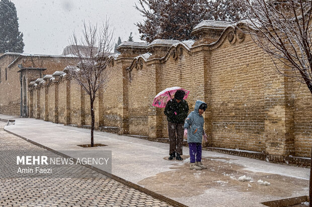 بارش برف شیراز