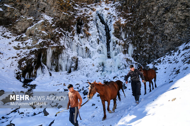 آبشار یخ زده «سردابه» اردبیل