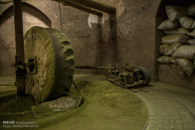 حنا در مزارع جنوب کرمان جان می گیرد