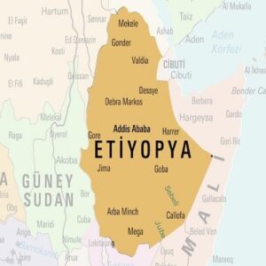 آدیس‌آبابا: اریتره رسما خاک اتیوپی را اشغال کرده است