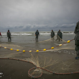 اعلام وضعیت سطح نارنجی در استان جنوبی کشور