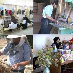 افتتاح ۸ طرح تعاونی با اشتغال‌زایی ۲۱۷ نفر در گیلان