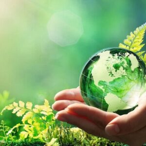 فراخوان برگزاری مسابقه نقاشی سیاه قلم به مناسبت هفته منابع طبیعی