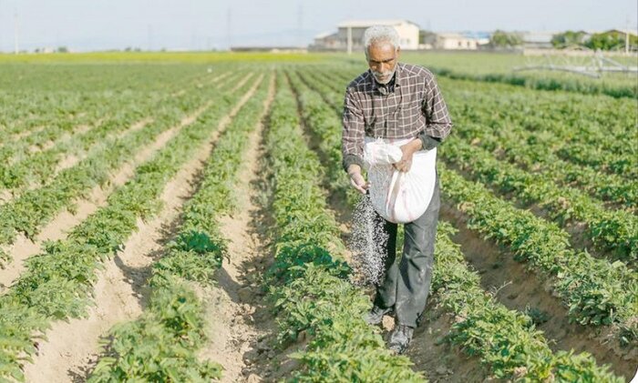 عمرانی : ۱۹هزار تن انواع کودهای کشاورزی در استان بوشهر توزیع شد