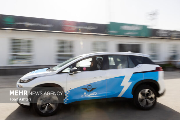 آغاز فرآیند نوسازی ناوگان تاکسیرانی بدون آورده نقدی توسط متقاضیان