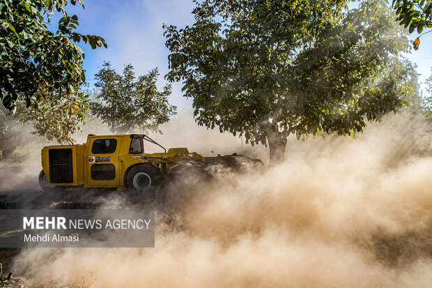 بهره‌برداری از باغ مدرن گردو و سامانه شیردوشی روتاری در خرمدره