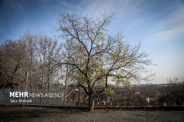 هوای مشهد ناسالم است