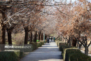 شاخص کیفی هوای اصفهان سبز شد