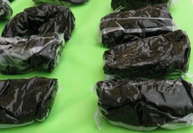 توزیع‌کننده مواد مخدر با ۱۰ کیلو تریاک در کرمانشاه دستگیر شد