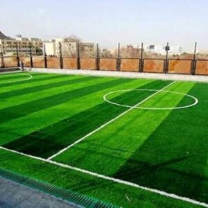 ۵ پروژه ورزشی در ایلام همزمان با دهه فجر افتتاح شد 