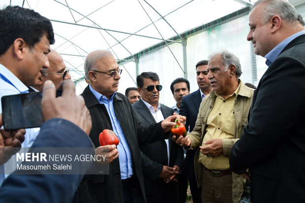 افتتاح و کلنگ‌زنی پروژه‌های شهرستان میناب و رودان در دهه فجر