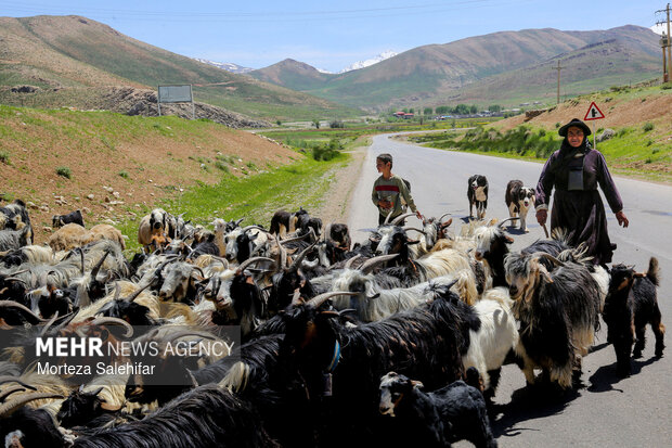 بیستم بهمن‌ماه؛ روز چهارمحال و بختیاری