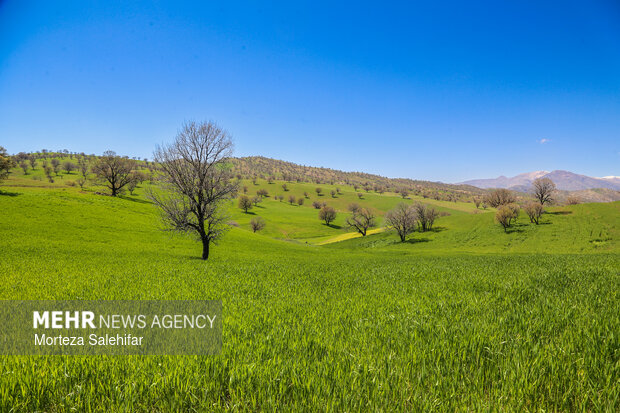 بیستم بهمن‌ماه؛ روز چهارمحال و بختیاری