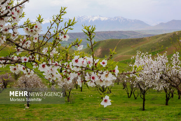 بیستم بهمن‌ماه؛ روز چهارمحال و بختیاری