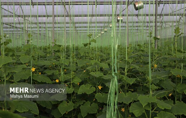 سفر محمدصادق معتمدیان استاندار تهران به ورامین