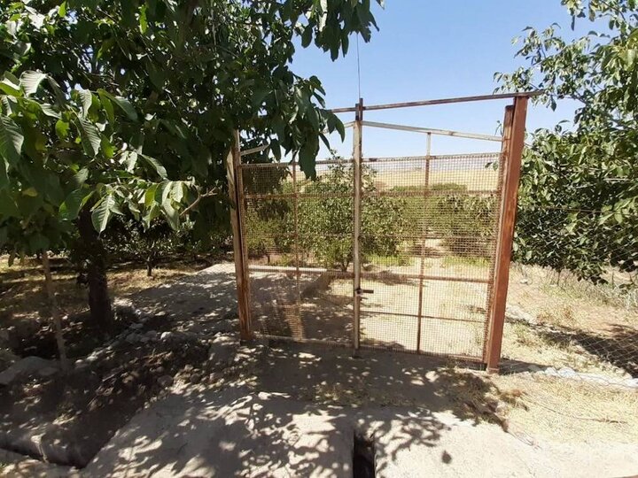 گشت‌های پیشگیرانه؛ وقتی قانون قدم به مزرعه می‌گذارد