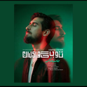 انتشار «تو بگو ایران» حامد زمانی